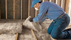 Best Insulation Removal  in USA